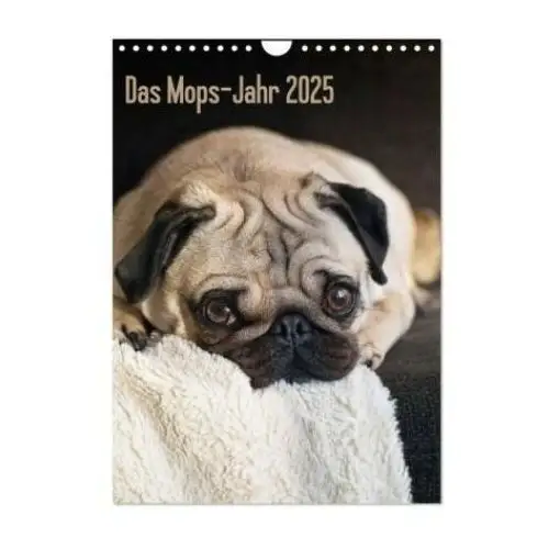 Das Mops-Jahr 2025 (Wandkalender 2025 DIN A4 hoch), CALVENDO Monatskalender