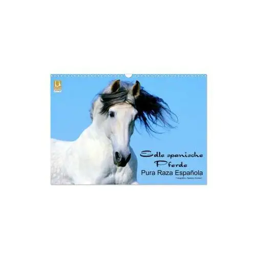 Calvendo Edle spanische pferde - pura raza espanola (wandkalender 2024 din a3 quer), monatskalender