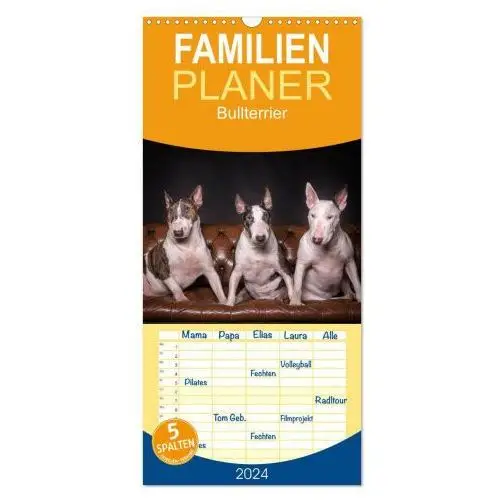 Familienplaner 2024 - Bullterrier mit 5 Spalten (Wandkalender, 21 x 45 cm) CALVENDO