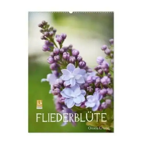 Fliederblüte (wandkalender 2025 din a2 hoch), monatskalender Calvendo