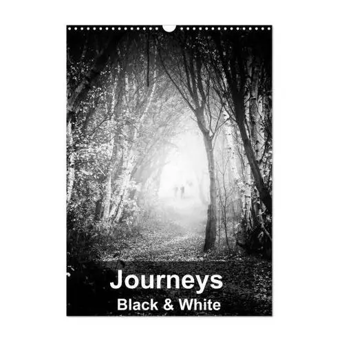 Calvendo Journeys - black & white (wall calendar 2024 din a3 portrait), 12 month wall calendar