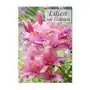 Lilien im Garten (Wandkalender 2024 DIN A2 hoch), CALVENDO Monatskalender Sklep on-line