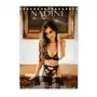 Nadine - erotic dream girl (tischkalender 2024 din a5 hoch), monatskalender Calvendo Sklep on-line