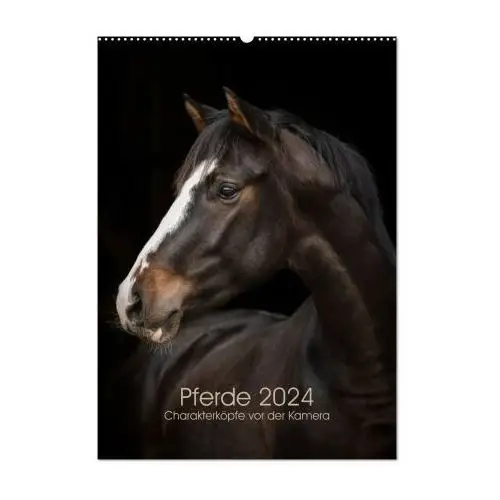 Pferde 2024 - charakterköpfe vor der kamera (wandkalender 2024 din a2 hoch), monatskalender Calvendo