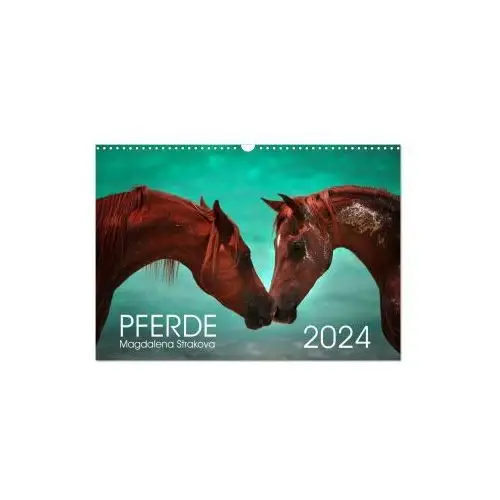 Pferde - magdalena strakova (wandkalender 2024 din a3 quer), monatskalender Calvendo