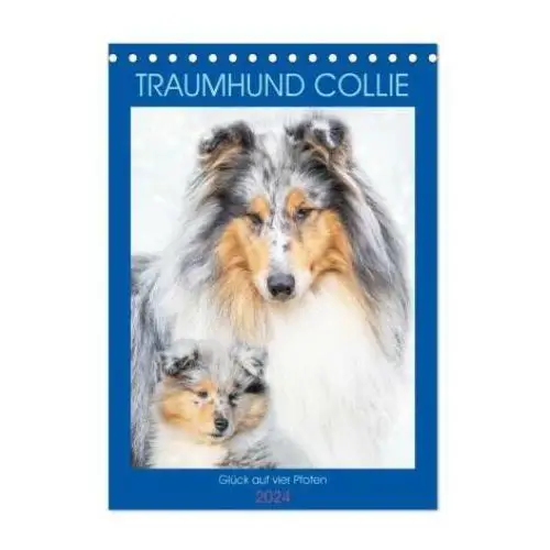 Calvendo Traumhund collie - glück auf vier pfoten (tischkalender 2024 din a5 hoch), monatskalender