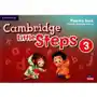 Cambridge Little Steps 3 Phonics Book American English Sklep on-line