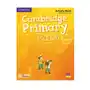 Cambridge primary path foundation activity book with practice extra Cambridge university press Sklep on-line