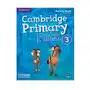 Cambridge primary path level 3 activity book with practice extra Sklep on-line