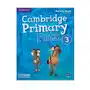 Cambridge primary path level 3 activity book with practice extra Cambridge university press Sklep on-line