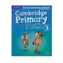 Cambridge primary path level 3 grammar and writing workbook Cambridge university press Sklep on-line