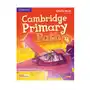 Primary path level 4 activity book with practice extra Cambridge Sklep on-line