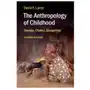 Cambridge university press Anthropology of childhood Sklep on-line