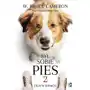 Cameron w. bruce Był sobie pies 2 Sklep on-line