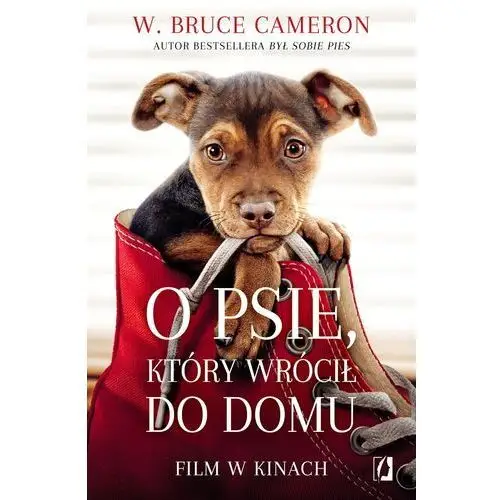 O psie, który wrócił do domu Cameron w. bruce