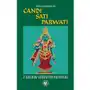 ćandi, sati, parwati. z dziejów literatury indyjskiej, AZ#0CDFDC18EB/DL-ebwm/pdf Sklep on-line