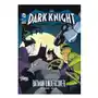 Capstone press Dark knight: batman undercover Sklep on-line