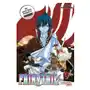 Fairy Tail Massiv 9 Sklep on-line