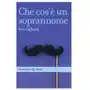 Che cos'è un soprannome Sklep on-line