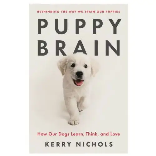 Puppy brain: inside the psychology of how dogs learn, grow, and love Celadon books