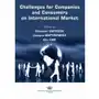 Challenges for companies and consumers on international market Sklep on-line