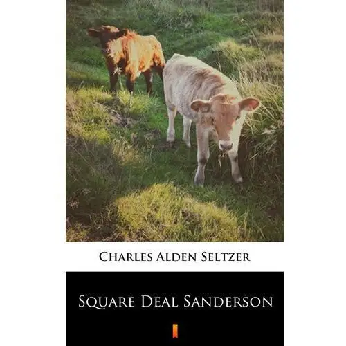 Charles alden seltzer Square deal sanderson