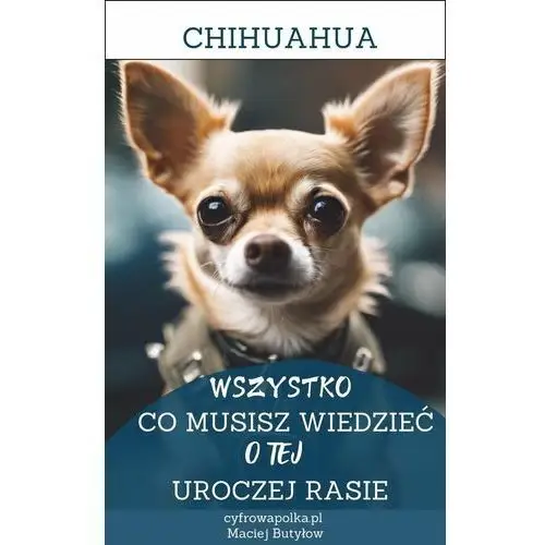 Chihuahua. Wszystko, co musisz wiedzieć o tej uroczej rasie