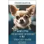 Chihuahua. Wszystko, co musisz wiedzieć o tej uroczej rasie Sklep on-line