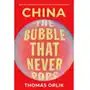 China: The Bubble that Never Pops Sklep on-line