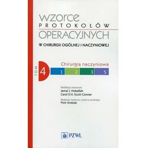 Chirurgia naczyniowa. Wzorce protokołów operacyjnych w chirurgii ogólnej i naczyniowej. Tom 4