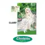 Chobits. Tom 5 Sklep on-line