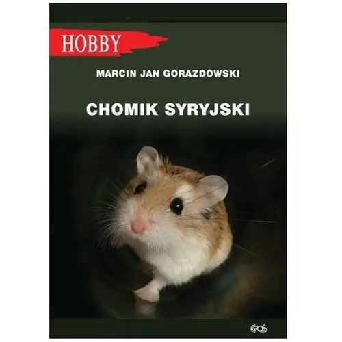 Chomik syryjski Hobby