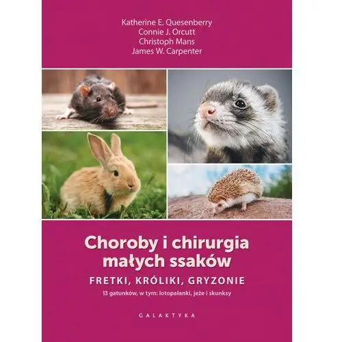 Choroby i chirurgia małych ssaków Fretki, króliki, gryzonie Quesenberry, Katherine E