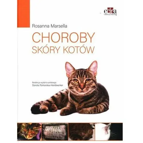 Choroby skóry kotów