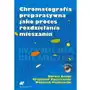 Chromatografia preparatywna jako proces rozdzielania mieszanin + CD Sklep on-line