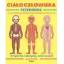 Ciało człowieka. Przewodnik dla dzieci, które chcą poznać swoje ciało Sklep on-line