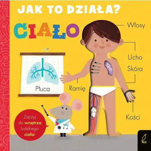 Ciało. Jak to działa?