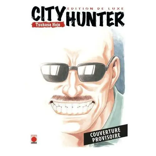 City Hunter - Perfect Edition T03