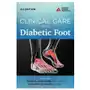 Clinical Care of the Diabetic Foot Sklep on-line