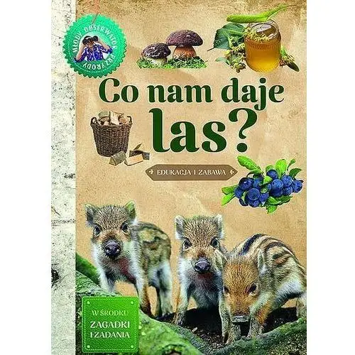 Co nam daje las