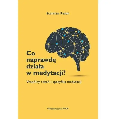 Co naprawdę działa w medytacji? Wspólny rdzeń i specyfika medytacji