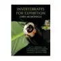 Coachwhip publications Invertebrates for exhibition Sklep on-line