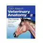Color Atlas of Veterinary Anatomy, Volume 2, The Horse Ashdown Raymond R., Done Stanley H Sklep on-line
