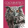 Colourmetrics: A Geometric Colour by Numbers Challenge Sklep on-line