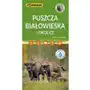 Mapa - puszcza białowieska 1:50 000 Compass Sklep on-line