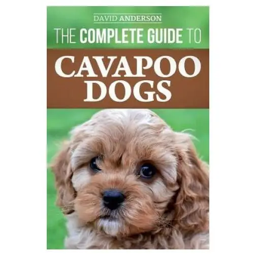 Complete Guide to Cavapoo Dogs