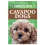 Complete Guide to Cavapoo Dogs Sklep on-line