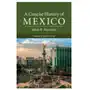 Concise History of Mexico Sklep on-line