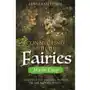 Connecting with the Fairies Made Easy Peters, Flavia Kate Sklep on-line