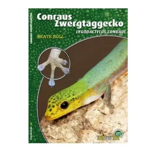 Conraus zwergtaggecko Ntv natur und tier-verlag